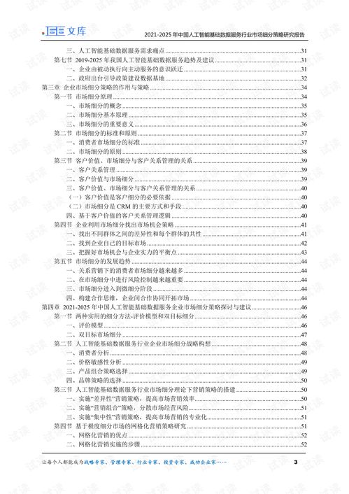 2021-2025年中國人工智能基礎數據服務與行業(yè)應用系統(tǒng)集成服務市場細分策略研究報告